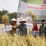 Panen Raya, Deru Yakin Sumsel Lumbung Pangan Panen Raya, Deru Yakin Sumsel Lumbung Pangan