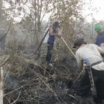 20 Hektar Lahan Gambut di PALI Terbakar 20 Hektar Lahan Gambut di PALI Terbakar