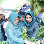 Sungai Lilin Wakili Muba Lomba 10 Program Pokok PKK Tingkat Provinsi Sumsel Sungai Lilin Wakili Muba Lomba 10 Program Pokok PKK Tingkat Provinsi Sumsel