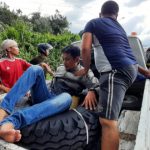 Angin Kencang Tumbangkan Pohon Besar