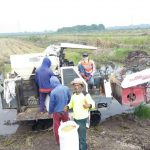 Pandemi Covid-19, Petani OKI Siap Suplai Beras dari Lahan Serasi Pandemi Covid-19, Petani OKI Siap Suplai Beras dari Lahan Serasi