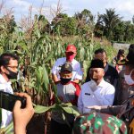 Upaya Warga Muba Kompak Saat Pandemi Covid -19 , Kelola Pangan Lokal Upaya Warga Muba Kompak Saat Pandemi Covid -19 , Kelola Pangan Lokal