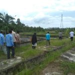 Gandeng Swasta, Perikanan Muba Siapkan Bibit Unggulan