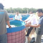 Garap Plasma Lele untuk Warga Prasejahtera di Muba Garap Plasma Lele untuk Warga Prasejahtera di Muba