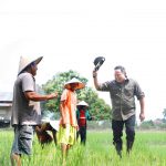 Warganet Hingga Tokoh Nasional Banjiri Ucapan Ultah Bupati Muba DRA, Petani Muba dan Komunitas Medsos Doakan yang Terbaik untuk DRA Warganet Hingga Tokoh Nasional Banjiri Ucapan Ultah Bupati Muba DRA, Petani Muba dan Komunitas Medsos Doakan yang Terbaik untuk DRA