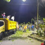 Akibat Angin Kencang, Truk Sampah Rusak Parah Ditimpah Pohon Akibat Angin Kencang, Truk Sampah Rusak Parah Ditimpah Pohon