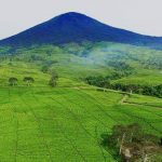 Wisata di Kebun Teh Pagaralam, Patuhi Protokes Wisata di Kebun Teh Pagaralam, Patuhi Protokes