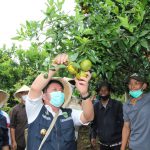 Wisata Pagaralam tinggal Dikembangkan Wisata Pagaralam tinggal Dikembangkan