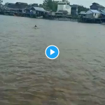 Viral Video Anak SD Seberangi Sungai Pakai Kotak Gabus, "Apa Kata Kades Setempat?