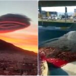 Misteri Gempa di Turki, Air Sungai Merah Darah hingga Awan Berbentuk UFO Disebut Menjadi Pertanda!