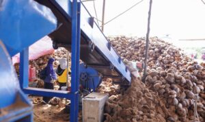 Produksi Kelola Limbah Kelapa Jadi Cocopeat dan Cocofiber di Lalan Dimulai
