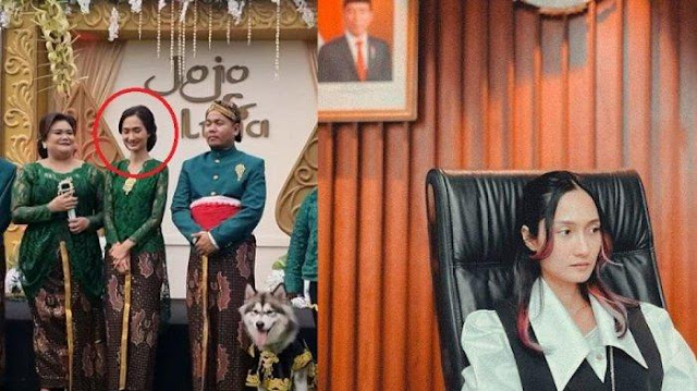 Inilah Sosok yang Menggelar Resepsi Nikahan Anjing Berbiaya Rp 200 Juta, Ternyata Tim Staf Khusus Presiden