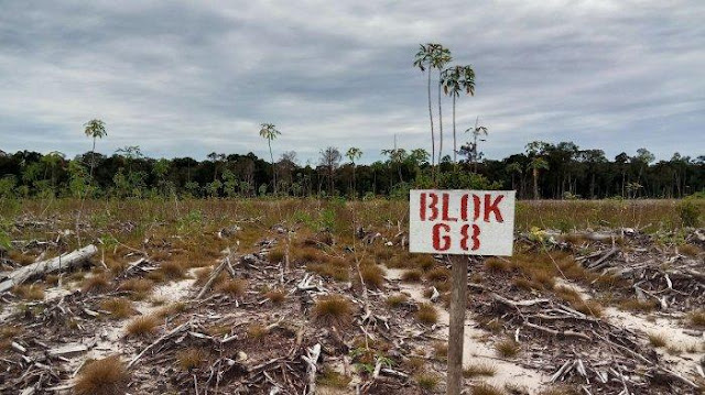PKS: Food Estate Presiden Jokowi Senilai Rp108 Triliun, Proyek Gagal ?