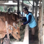 Bantuan dari PTBA Upaya Tingkatkan Penghasilan Petani di Lampung