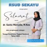 Nakes Musi Banyuasin Raih Prestasi Membanggakan Tingkat Nasional