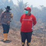 Upayakan Pemadaman Api Segera, Sekda Tinjau Kebakaran Lahan di Area PT SAM