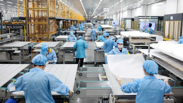 Puluhan Ribu TKA China Disiapkan untuk Industri Kaca dan Solar Panel Xinyi di Pulau Rempang?