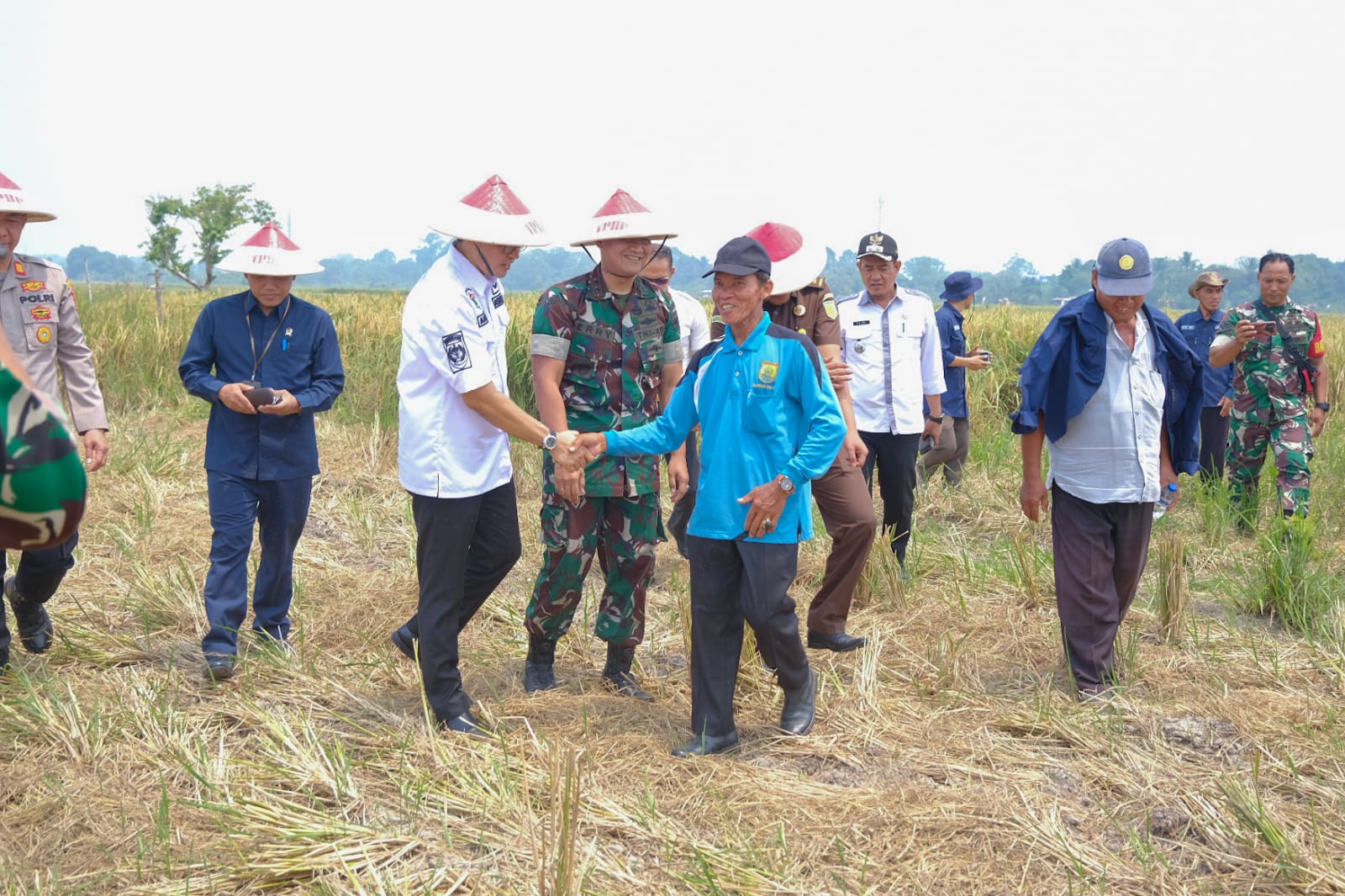 Sinergi TNI Jaga Ketahanan Pangan, Optimalkan Lahan Tidur Jadi Produktif