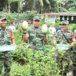 Pangdam Jaya Pimpin Pencanangan Urban Farming Serentak di Wilayah Kodam Jaya Pangdam Jaya Pimpin Pencanangan Urban Farming Serentak di Wilayah Kodam Jaya