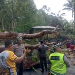 Warga dan Polres Muara Enim Singkirkan Pohon Tumbang di jalan Lintas Sumatera