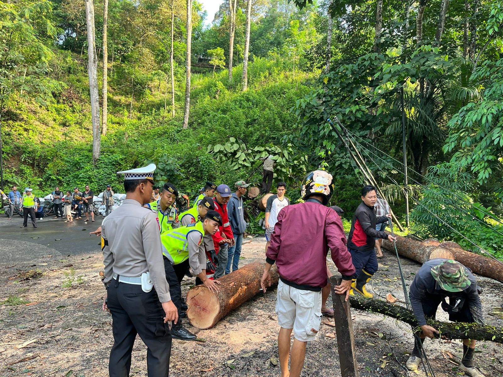Warga dan Polres Muara Enim Singkirkan Pohon Tumbang di jalan Lintas Sumatera