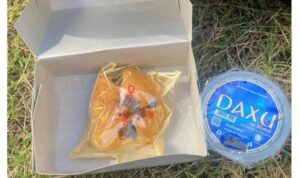 Heboh! Ngenes, Snack Pelantikan KPPS Sleman, KPU: Dana Rp 15.000, Vendor Bikin Rp 2.500