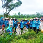 Panen Cabai Merah di Desa Bukit Indah