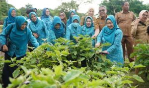 Edukasi Masyarakat Tekan Inflasi, Pj Ketua TP PKKK Sumsel Panen Sayur di Kitchen Garden JSC Palembang
