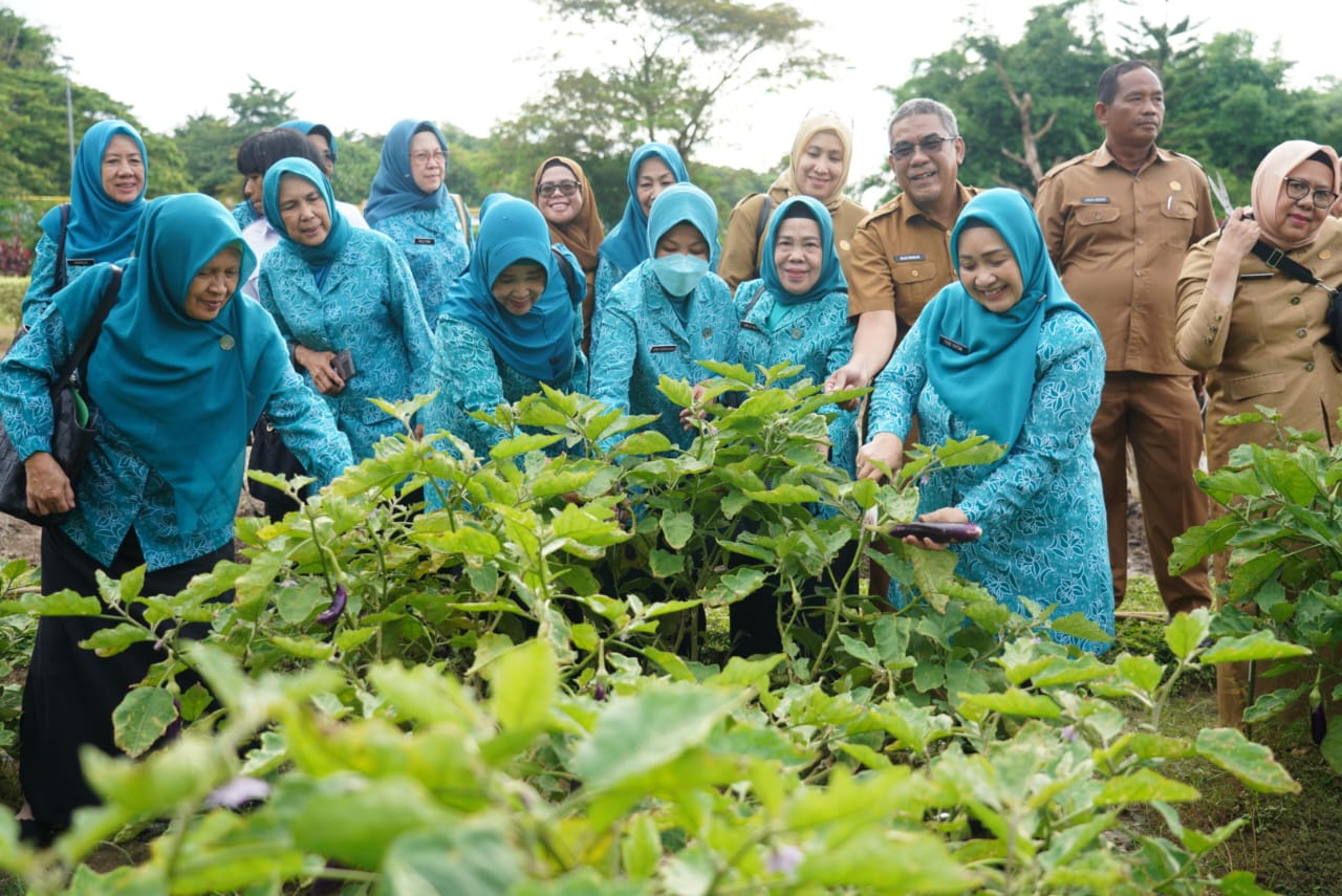 Edukasi Masyarakat Tekan Inflasi, Pj Ketua TP PKKK Sumsel Panen Sayur di Kitchen Garden JSC Palembang