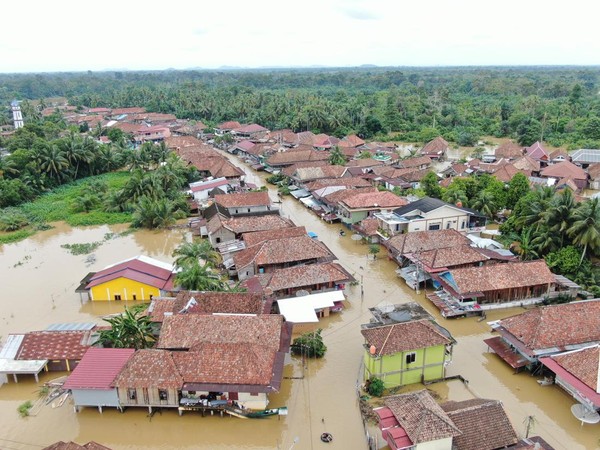 ratusan hektare sawah warga di muratara gagal panen akibat banjir 43