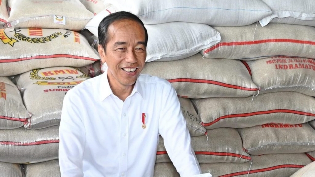 Harga Beras Meroket, Kini Tembus Rp18 Ribu per Kilo, Tertinggi dalam Sejarah