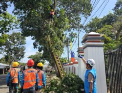 Jaga Keandalan Pasokan Listrik, PLN Unit Layanan Pelanggan di Bengkulu Lakukan Kolaborasi Gebyar ROW Jaga Keandalan Pasokan Listrik, PLN Unit Layanan Pelanggan di Bengkulu Lakukan Kolaborasi Gebyar ROW