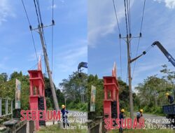 Upayakan Penurunan Gangguan, Ini yang Dilakukan PLN ULP Pangkalan Balai
