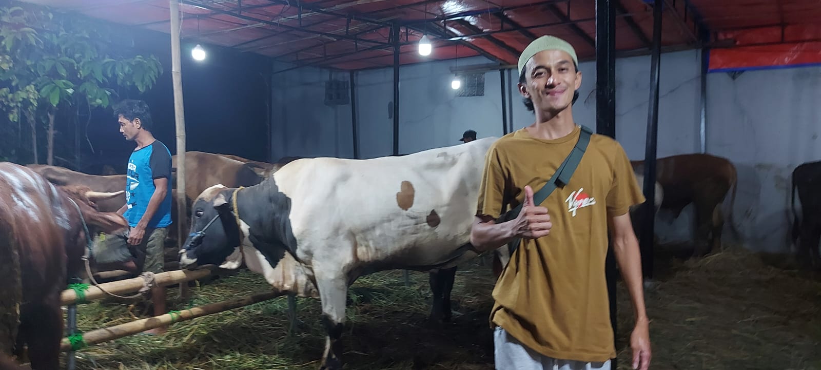 Masbibie Farm Sediakan Hewan Kurban, Berdayakan Peternak Lokal Masbibie Farm Sediakan Hewan Kurban, Berdayakan Peternak Lokal