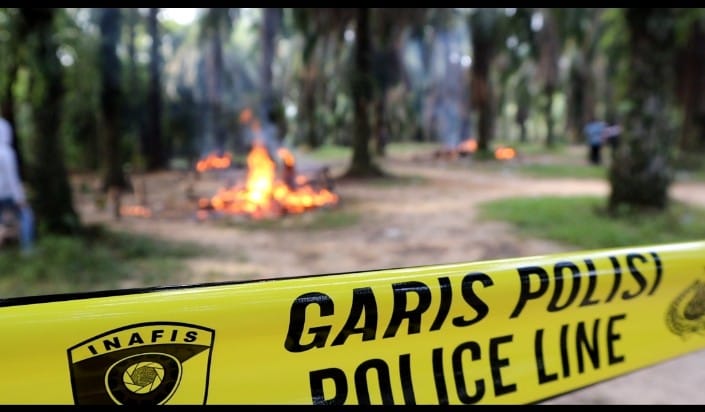 Arena Judi Sabung Ayam di Bakar Oleh Polres Muara Enim Arena Judi Sabung Ayam di Bakar Oleh Polres Muara Enim