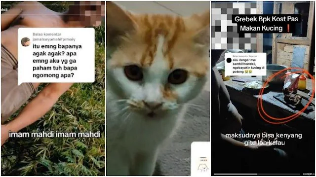 Ternyata Sosok NY, Bapak Kos Pemakan 10 Kucing di Kota Semarang, Sering Buat Onar, Mengaku Imam Mahdi