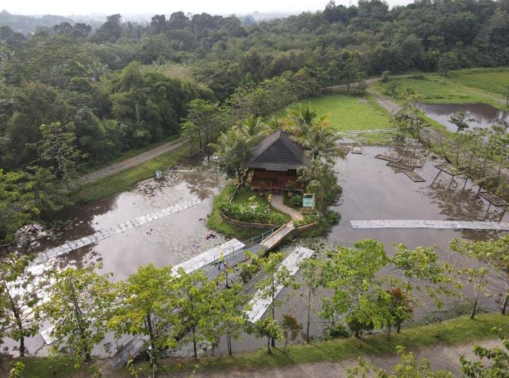Inovasi Bukit Asam (PTBA) Kembangkan Lahan Basah Buatan untuk Pemulihan Lingkungan