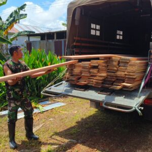 Material Papan Kayu Terus Didatangkan Dilokasi TMMD 122 Material Papan Kayu Terus Didatangkan Dilokasi TMMD 122
