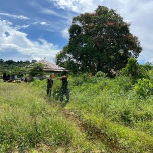 Satgas TMMD 122 KODIM 0914/TNT Melaksanakan Mobilisasi rehab RTLH Bapak Jimmy Satgas TMMD 122 KODIM 0914/TNT Melaksanakan Mobilisasi rehab RTLH Bapak Jimmy