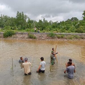 “Menyatu Dengan Alam" Penanaman Pohon Mangrove di Desa Bebatu TMMD 122 “Menyatu Dengan Alam” Penanaman Pohon Mangrove di Desa Bebatu TMMD 122