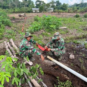 Dengan Bantuan Pompa Air Satgas TMMD 122 Lakukan Pengairan Air Ke Sawah Dengan Bantuan Pompa Air Satgas TMMD 122 Lakukan Pengairan Air Ke Sawah