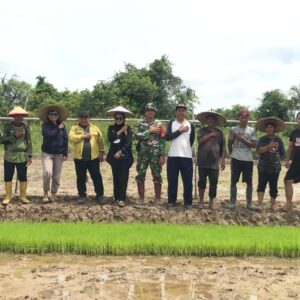 Satgas TMMD 122 Melaksanakan Pendampingan Sekolah Lapang Tanam Padi