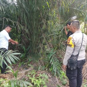 TRAGIS! Siswi SMP di Siak Dirudapaksa 6 Remaja di Belakang Mesjid, 3 Pelaku Masih SD