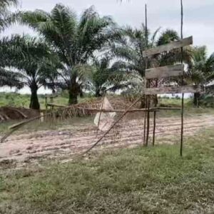 Lingkungan Rusak – Jalan Hancur, PT Medco dituding Susahkan Masyarakat Tempirai