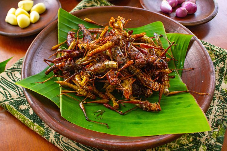 Wacana Serangga Jadi Menu Program Makan Bergizi Gratis, Dokter Tifa: Apakah Indonesia Semiskin Itu?