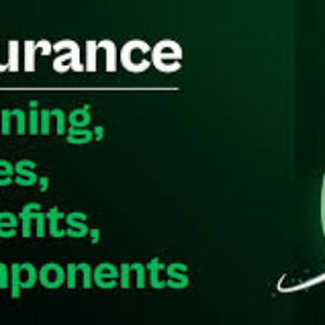 Insurance Meaning Benefits