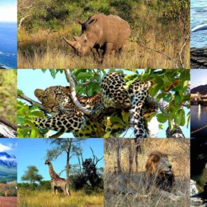 South Africa Visit