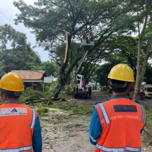 PLN UP3 Lahat Perbaiki Jaringan Listrik Sambut Ramadhan, Pastikan Ibadah Masyarakat Nyaman PLN UP3 Lahat Perbaiki Jaringan Listrik Sambut Ramadhan, Pastikan Ibadah Masyarakat Nyaman