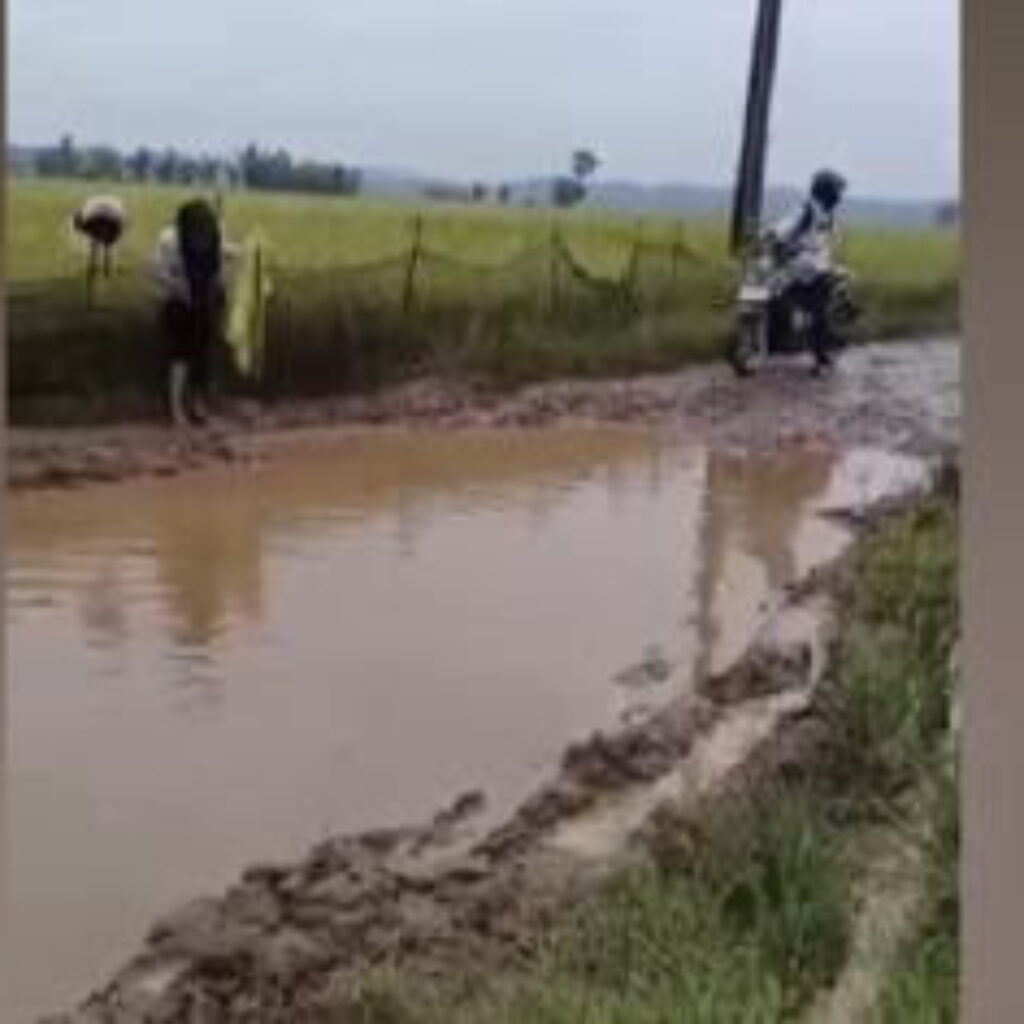 Viral! Video Guru Menangis Histeris setelah Jatuh di Jalan Rusak Berlumpur di Desa Cimoyan Pandeglang