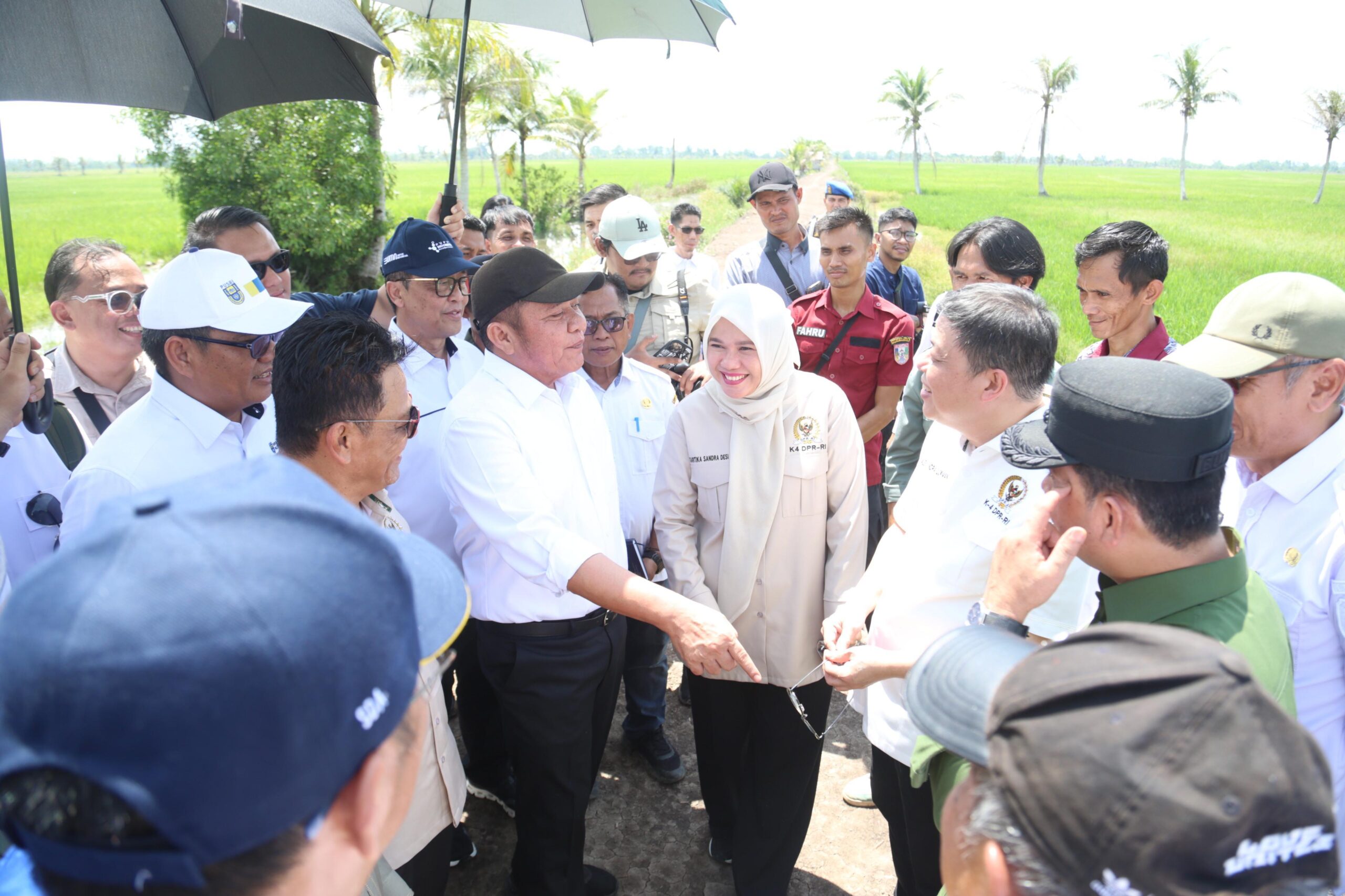 Gubernur Herman Deru Optimis Program OPLA Dongkrak Provinsi Sumsel ke Peringkat Tiga Penghasil Pangan Nasional